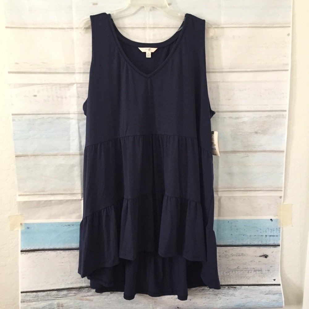 TS Womens Tiered Tank Blue Size 0X (14W)